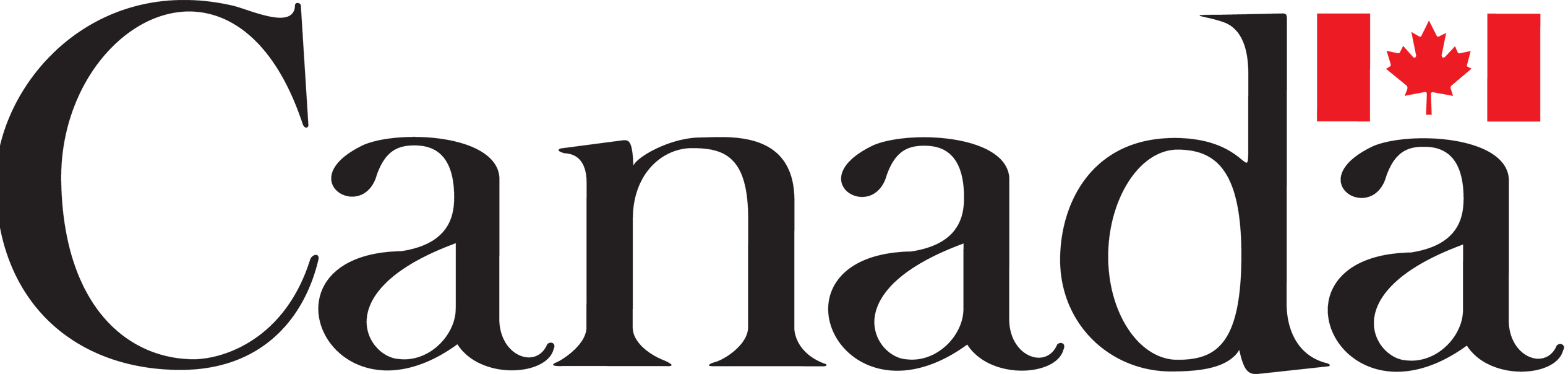 partner's logo